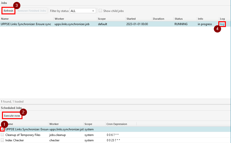 Executing the Links Synchronizer Job